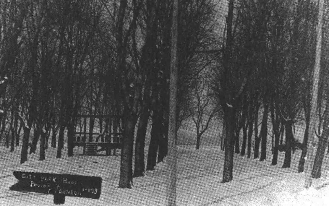 Early photograph of Hooper City Park and its grandstand for summer concerts.