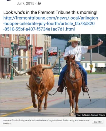 Parade rider on horseback — details requested, shared by Anne Skidmore